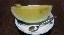 今日もいただきました