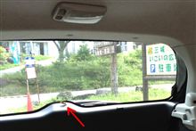 車内にハチが・・・