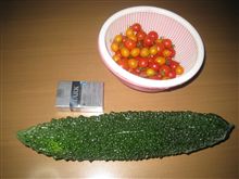 完敗です。