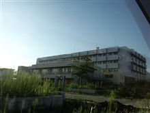 被災地