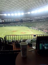 野球観戦（埼玉西武VS東北楽天）
