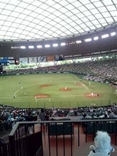 野球観戦（埼玉西武VS東北楽天）