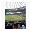 野球観戦（埼玉西武VS東北楽 ...