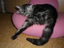 仕事ちう！