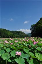 ８月２０日　９連休明けでダルダルな月曜日、おはです～♪