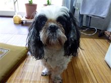 モニターが映らなくなった。。。