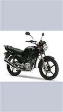 YBR125仮契約 YBR125仮契約