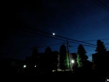 グリルにモールを追加しました