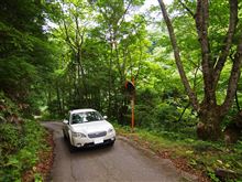 岩手県道２３８号遠野住田線　 