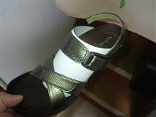 すっかりとリピーター？