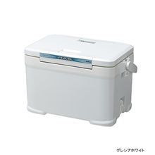 （衝動買い）激安？高性能クーラーバック