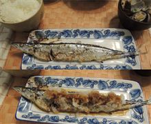 今シーズンの、初サンマです。 今シーズンの、初サンマです。