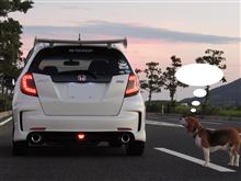 FIT君と見物犬(*ﾟ∀ﾟ*)