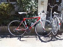 淡路島1周レース