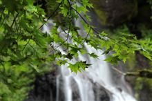 吐竜の滝 
