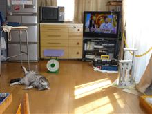 あんまり暑いとさぁ・・・・