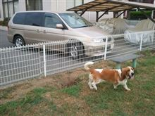 暑くなりそう、 暑くなりそう、