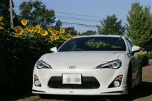 ひまわりの中心でハチコと叫ぶ。