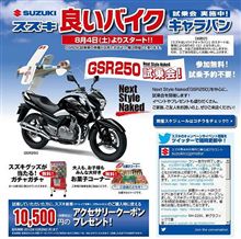 GSR250体験記