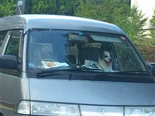 お犬様 お犬様