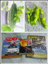 今日の出来事！