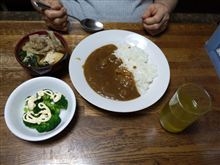 日常的に困るのはトイレ 日常的に困るのはトイレ
