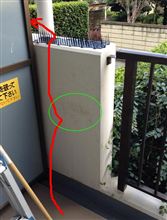 猫避け配置