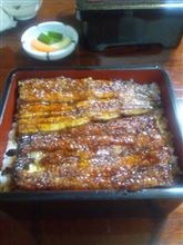 浜松なう