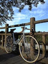 今日の朝走り