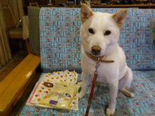 みんともmomomacさんが～(^o^)…。