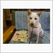 みんともmomomacさんが～(^o^)…。