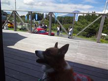 ＣＧ ＦＥＳＴＡ ２０１２