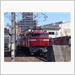 今日の81