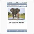 旋回制動能力