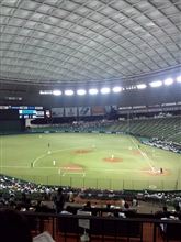 野球観戦（埼玉西武VSオリックス）