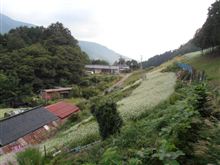 下栗しらびそ遠山郷へのドライブの模様
