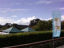 空は・・・