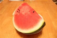 規則正しい生活？！（汗）