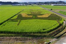 田んぼアート〜マジンガーずぇ〜〜っと〜