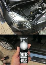 つくし・・・
