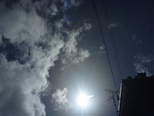 強過ぎ(-_-;)