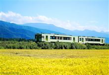 金色の海と飯山線　《スイフトで行こう♪ローカル線の旅》