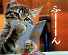 日本語であそぼをご覧くださいネ… 日本語であそぼをご覧くださいネ…