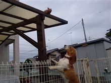 イジワル
