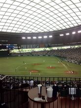 野球観戦（埼玉西武VS北海道日本ハム）