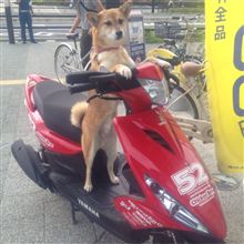 何してんだ、おまえは(^-^) 何してんだ、おまえは(^-^)