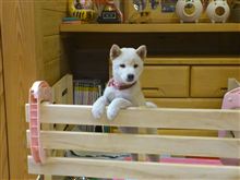 去年の今日～（＾o＾）・・・。