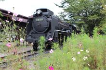 SL D51に乗ってきた・・・・