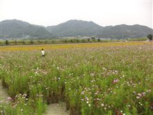 スペックCの乗り心地