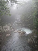 霧島行ってきた。 霧島行ってきた。